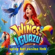 spicy bet casino link