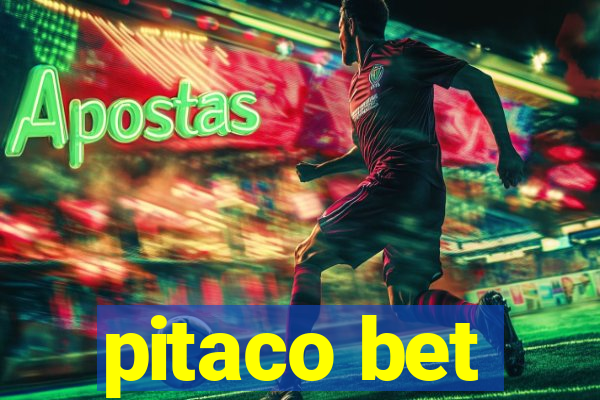 pitaco bet