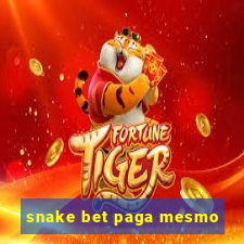 snake bet paga mesmo