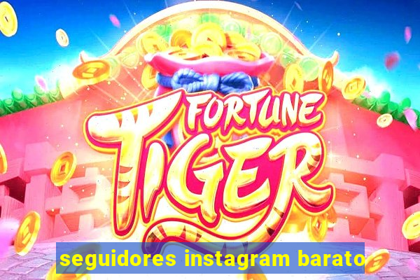 seguidores instagram barato