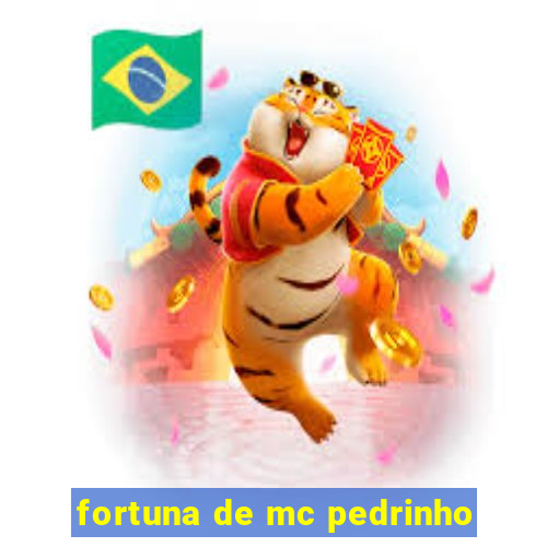 fortuna de mc pedrinho