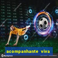 acompanhante viva local baixada fluminense