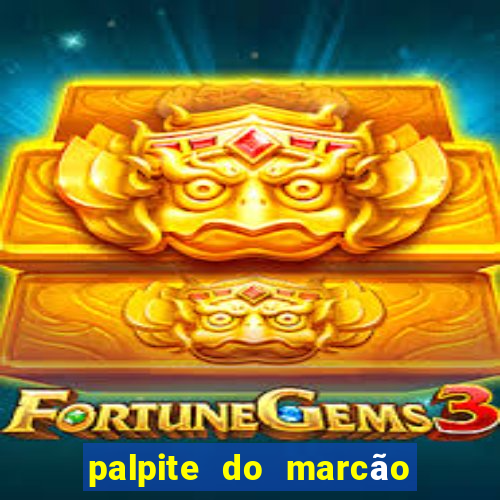 palpite do marcão jogo do bicho