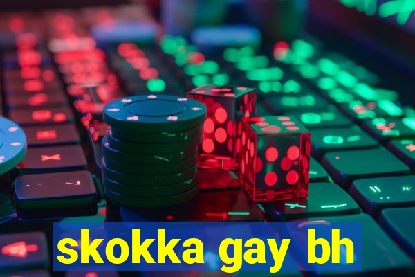 skokka gay bh