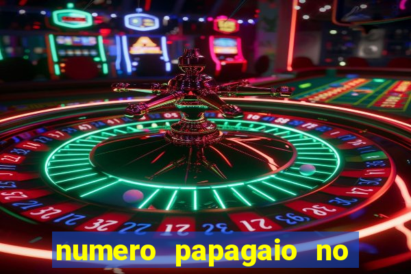 numero papagaio no jogo do bicho