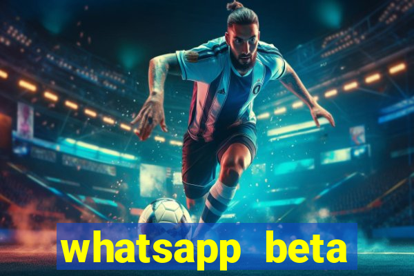 whatsapp beta 3.3.10 2024