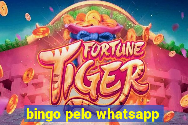 bingo pelo whatsapp