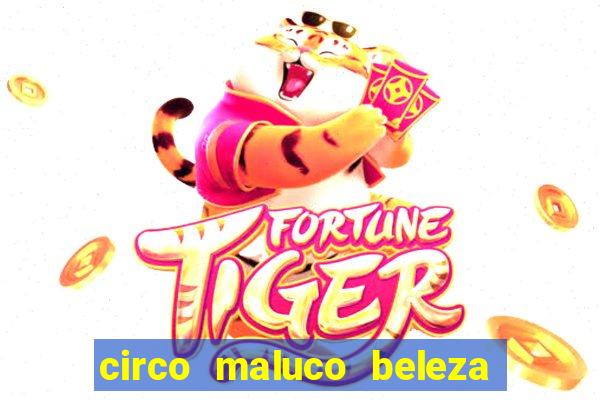 circo maluco beleza recife circo maluco