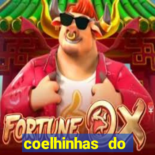 coelhinhas do brasil recife