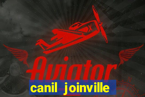 canil joinville vila nova