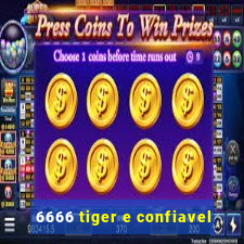 6666 tiger e confiavel