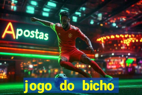 jogo do bicho crash bingo