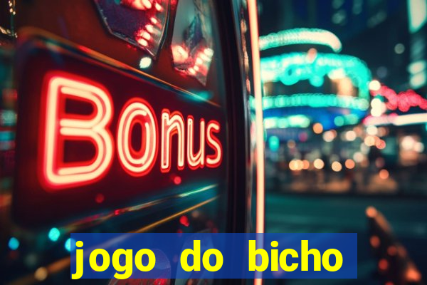 jogo do bicho crash bingo