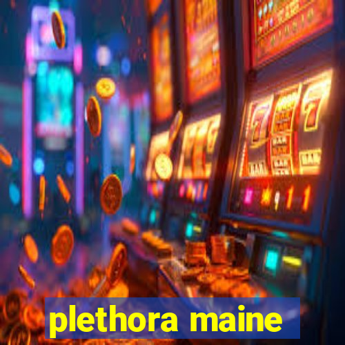 plethora maine