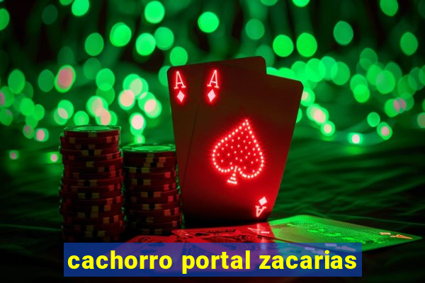 cachorro portal zacarias