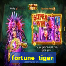 fortune tiger aposta 1 real