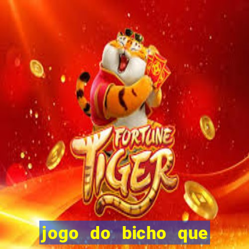 jogo do bicho que paga no pix