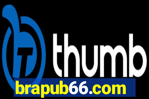 brapub66.com