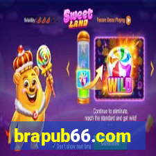 brapub66.com