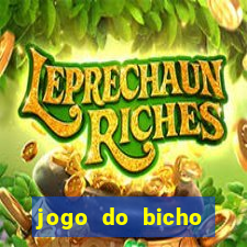 jogo do bicho banca ouro verde