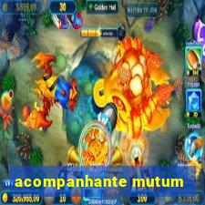 acompanhante mutum