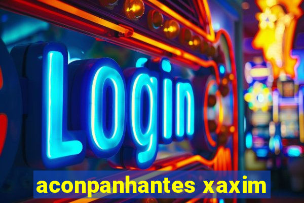 aconpanhantes xaxim