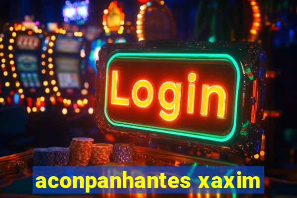 aconpanhantes xaxim