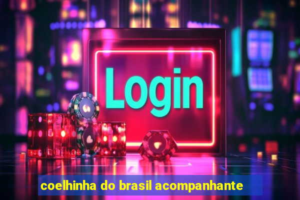 coelhinha do brasil acompanhante