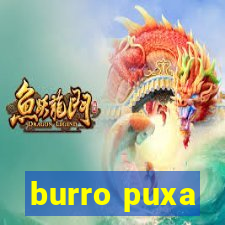 burro puxa