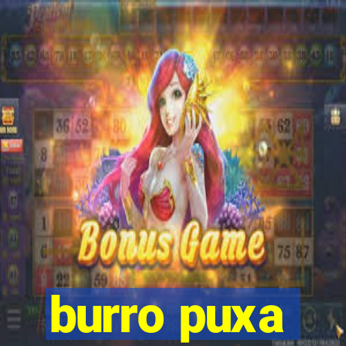 burro puxa