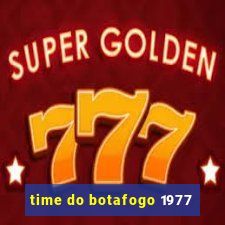 time do botafogo 1977