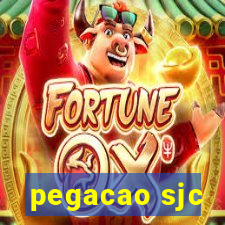 pegacao sjc