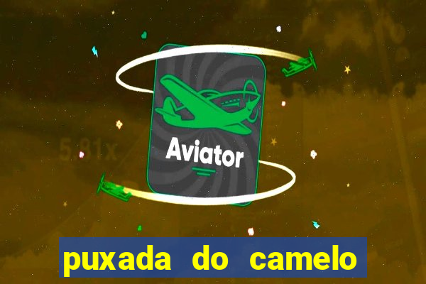 puxada do camelo no jogo do bicho