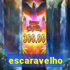 escaravelho significado espiritual