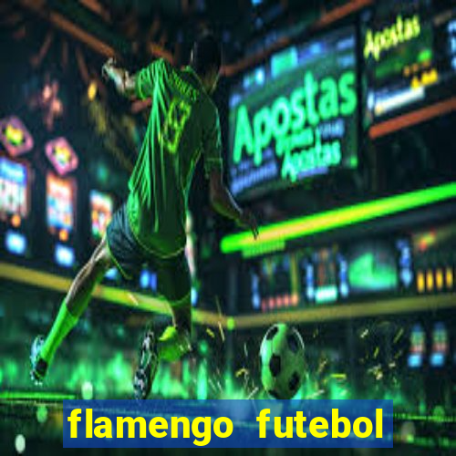 flamengo futebol play hd