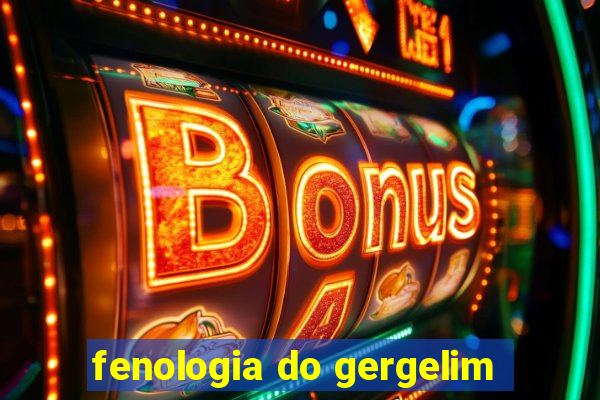 fenologia do gergelim