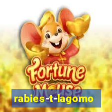 rabies-t-lagomorph