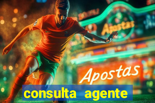 consulta agente autuador sp