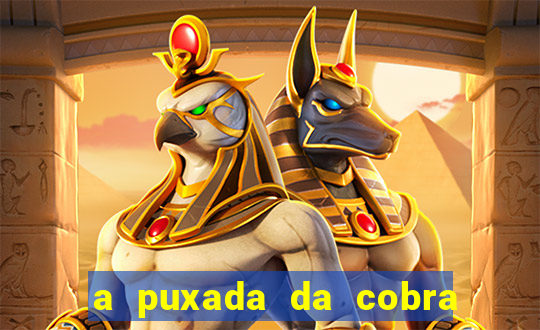 a puxada da cobra no jogo do bicho