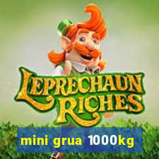 mini grua 1000kg