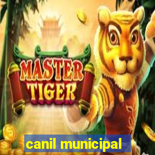 canil municipal