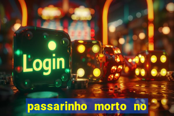 passarinho morto no quintal significado espiritual