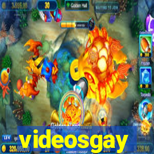 videosgay