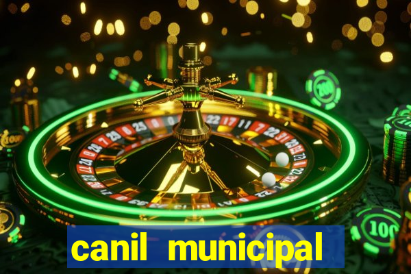 canil municipal porto alegre