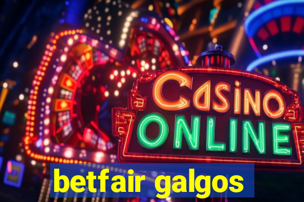 betfair galgos