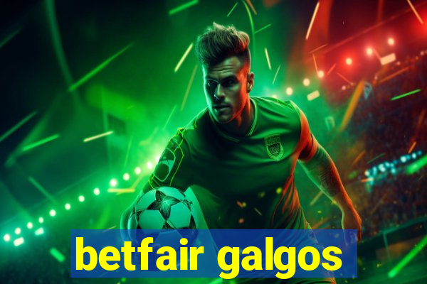 betfair galgos