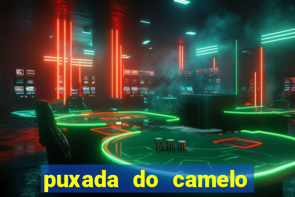 puxada do camelo jogo do bicho