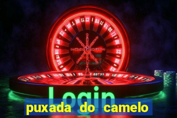 puxada do camelo jogo do bicho