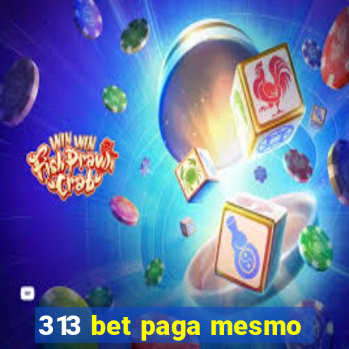 313 bet paga mesmo