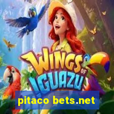 pitaco bets.net